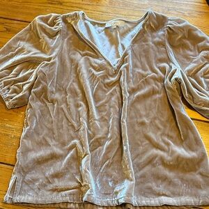 LOFT Silver Velvet V-Neck Blouse